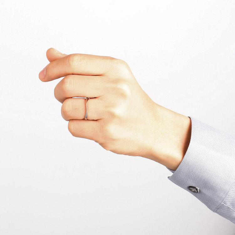 BLOOM ブルーム ステンレス ペアリング（メンズ） シルバー