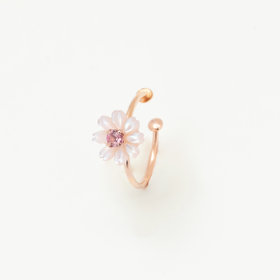 誕生花 12月 | 商品一覧｜BLOOM（ブルーム）公式通販