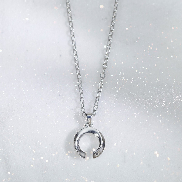 BLOOM ブルーム 【WEB限定】ステンレス キュービックジルコニア 馬蹄 ペアネックレス（メンズ）（サージカルステンレス 316L） シルバー