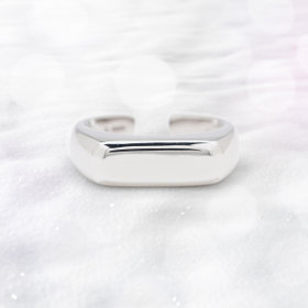 【2025ウインターコレクション】シルバー ロジウムメッキ リング（指輪）