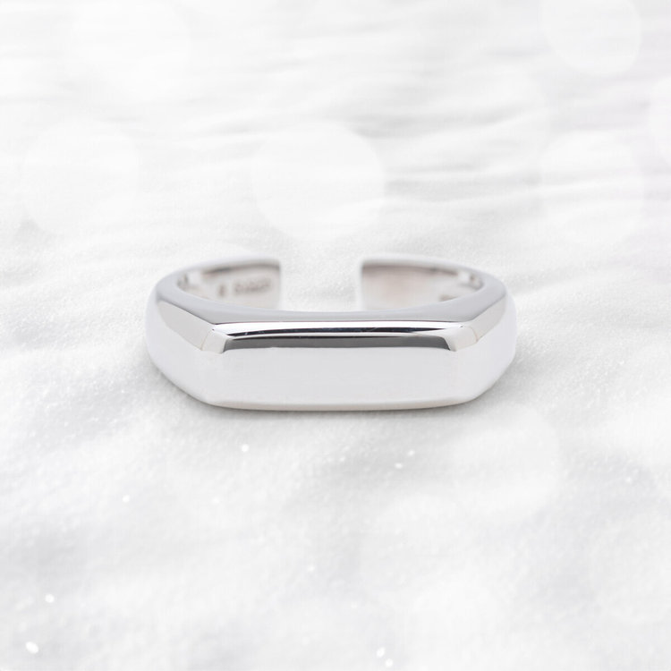 2025ウインターコレクション】シルバー ロジウムメッキ リング（指輪