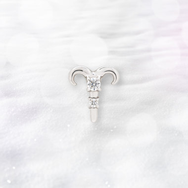 【2025ウインターコレクション】シルバー ロジウムメッキ キュービックジルコニア 星座 ピアス（おひつじ座） ※片耳用