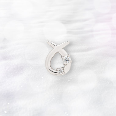 【2025ウインターコレクション】シルバー ロジウムメッキ キュービックジルコニア 星座 ピアス（おうし座） ※片耳用