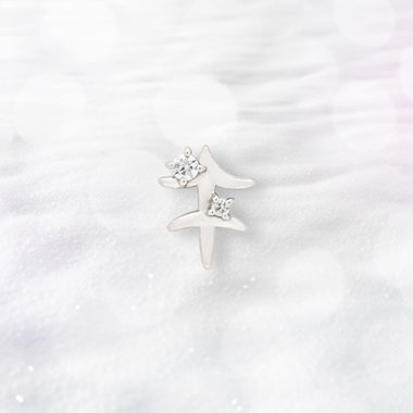 【2025ウインターコレクション】シルバー ロジウムメッキ キュービックジルコニア 星座 ピアス（いて座） ※片耳用