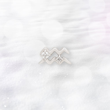 【2025ウインターコレクション】シルバー ロジウムメッキ キュービックジルコニア 星座 ピアス（みずがめ座） ※片耳用