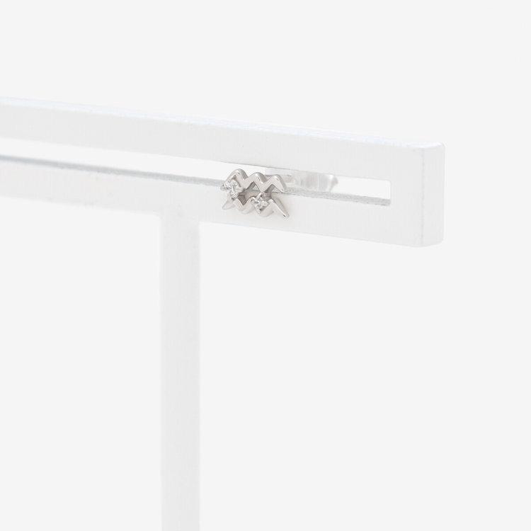 BLOOM ブルーム 【2025ウインターコレクション】シルバー ロジウムメッキ キュービックジルコニア 星座 ピアス（みずがめ座） ※片耳用 シルバー