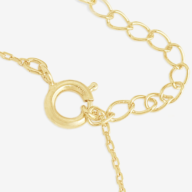 BLOOM ブルーム 【公式サイト限定】1月誕生石 シルバー イエローゴールドメッキ ガーネット リバーシブル ネックレス イエロー