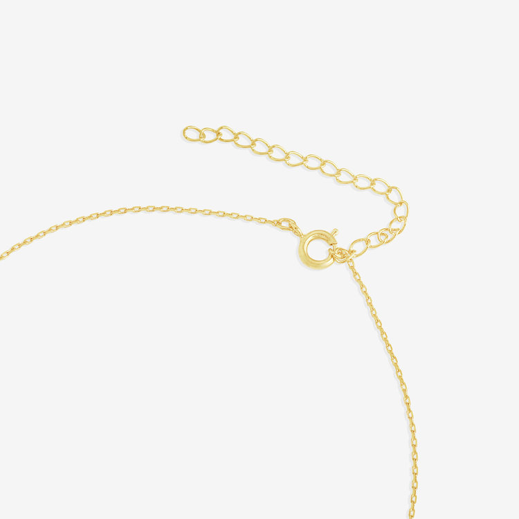 BLOOM ブルーム 【公式サイト限定】6月誕生石 シルバー イエローゴールドメッキ ムーンストーン リバーシブル ネックレス イエロー