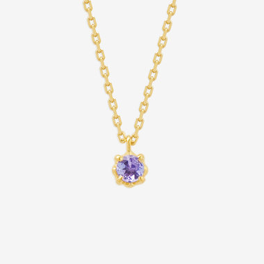 【公式サイト限定】12月誕生石 シルバー イエローゴールドメッキ タンザナイト リバーシブル ネックレス