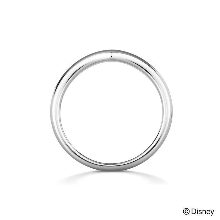 DISNEY PRINCESS 【受注生産】【Disney Princess】プラチナ マリッジリング プラチナム