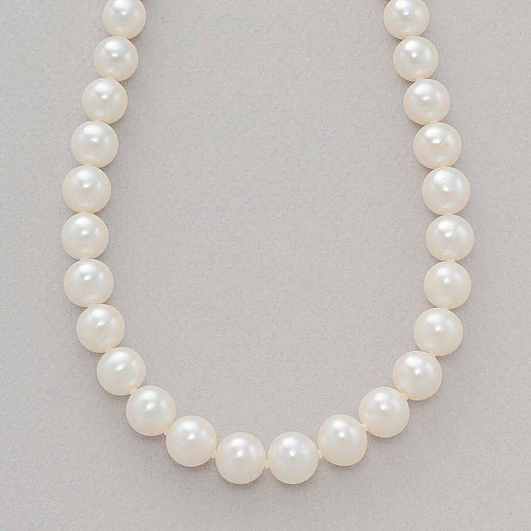 A242 淡水真珠 パール 925 ネックレス デザイン シルバー 6月誕生石-