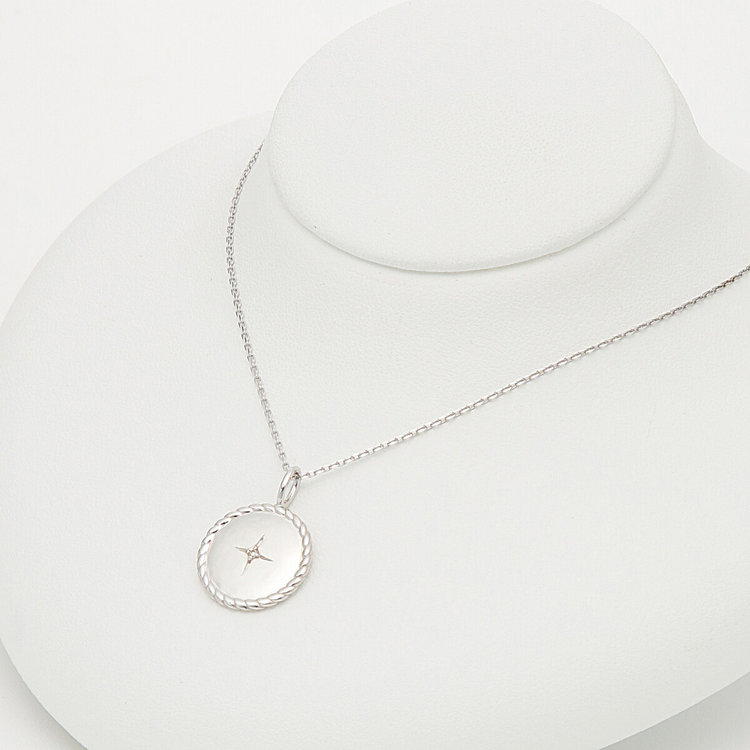 ESTELLE エステール 【WEB限定】シルバー ロジウムメッキ ダイヤモンド ペアネックレス シルバー