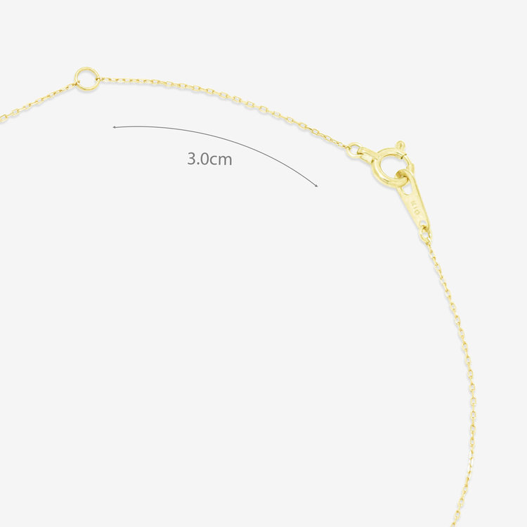 ESTELLE エステール 【WEB限定】K10 イエローゴールド ダイヤモンド 馬蹄 ネックレス イエローゴールド