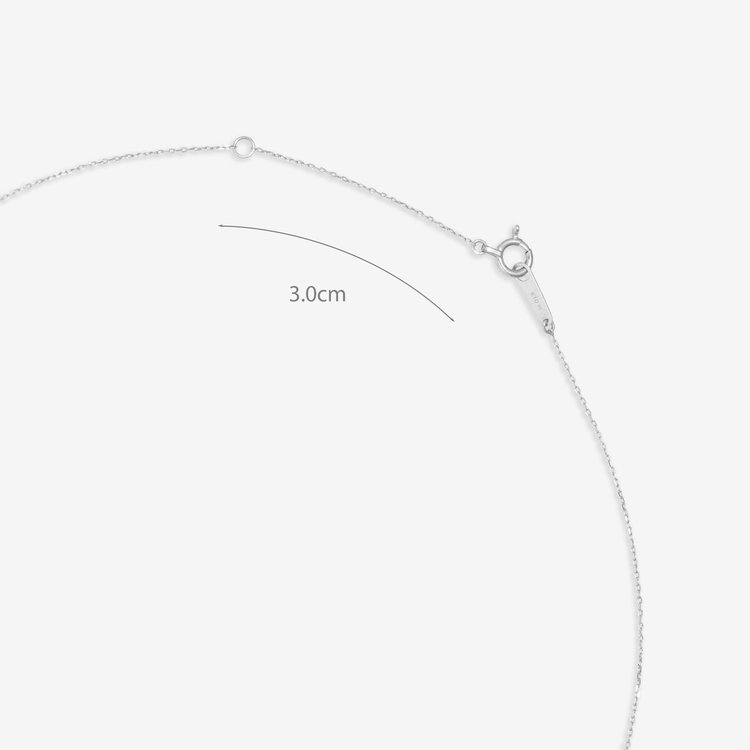 ESTELLE エステール 6月誕生石 K10 ホワイトゴールド あこや真珠 ハート ネックレス ホワイトゴールド