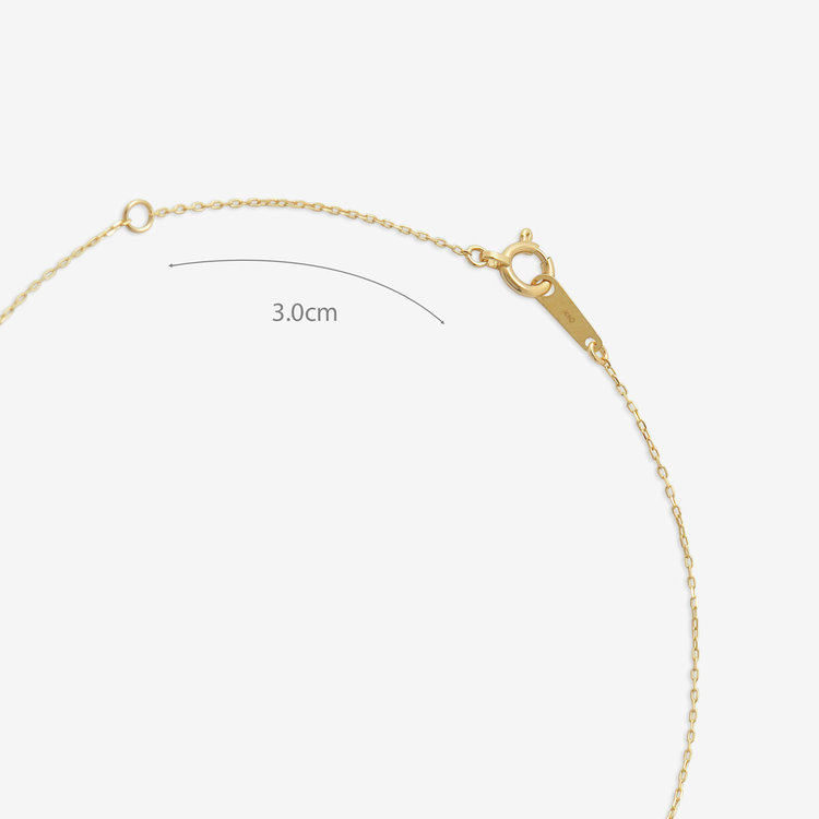 ESTELLE エステール 【WEB限定】7月誕生石 K10 イエローゴールド ルビー しずく ネックレス イエローゴールド