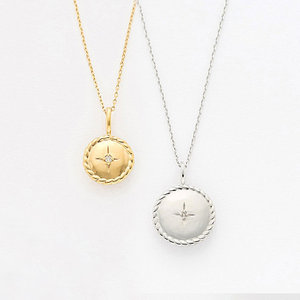 【WEB限定】シルバーペアネックレス