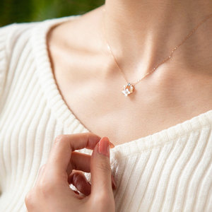 BIRTH FLOWER × BOUVARDIA